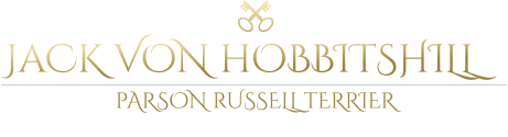 JaCK VON hOBBITSHILL	 pARSON rUSSELL tERRIER Immobilienverwaltung